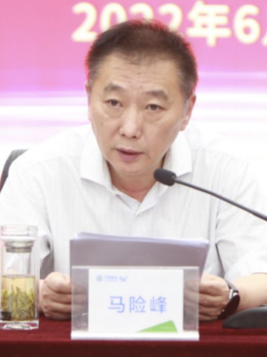 馬險峰(中國移動通信集團內蒙古有限公司總經理) 馬險峰(中國移動通信集團內蒙古有限公司總經理)