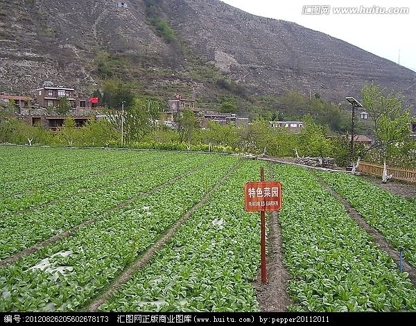 特色覆蓋 特色覆蓋