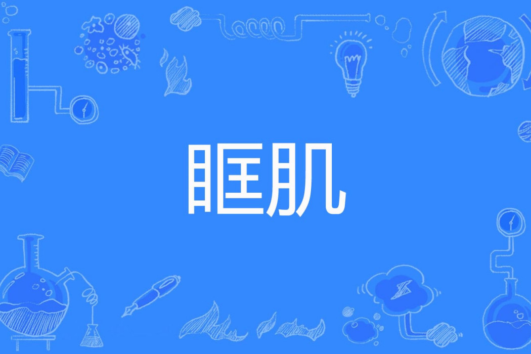 眶肌 眶肌