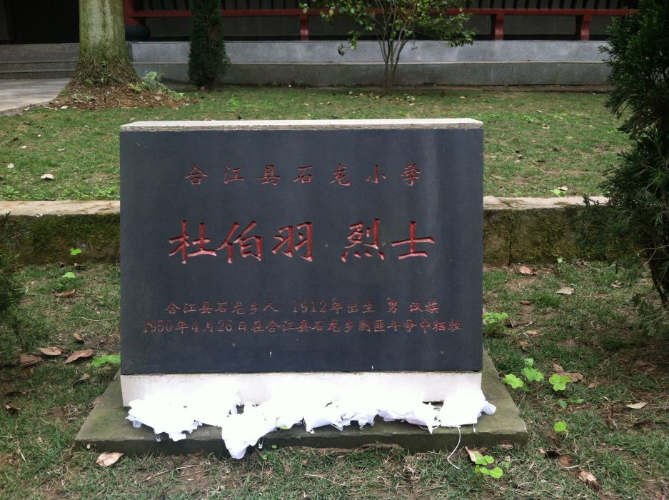 杜伯羽 杜伯羽