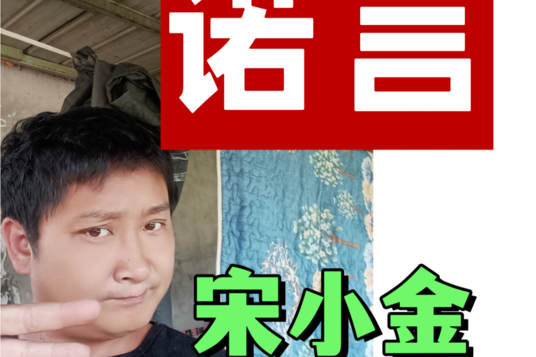 諾言(2024年宋小金演唱的歌曲) 諾言(2024年宋小金演唱的歌曲)