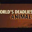 國家地理：世界致命動物系列