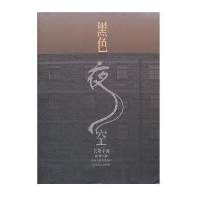 黑色夜空(2011年雲南人民出版社出版的圖書) 黑色夜空(2011年雲南人民出版社出版的圖書)