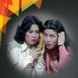 甜姐兒(1978年TVB繆騫人主演電視劇)