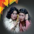 甜姐兒(1978年TVB繆騫人主演電視劇) 甜姐兒(1978年TVB繆騫人主演電視劇)