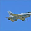 阿聯空軍 阿聯空軍