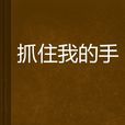 抓住我的手(網路小說) 抓住我的手(網路小說)
