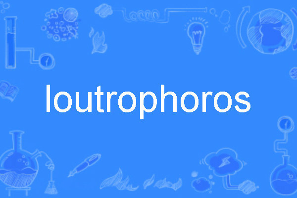 loutrophoros loutrophoros