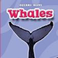 Whales(Bellwether Media出版的圖書) Whales(Bellwether Media出版的圖書)