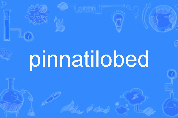 pinnatilobed pinnatilobed