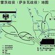 薩多瓦戰役