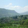 小芒竜村 小芒竜村