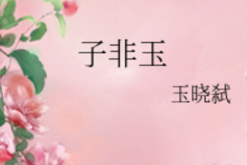 子非玉