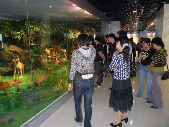江蘇省前黃高級中學動物 博物館
