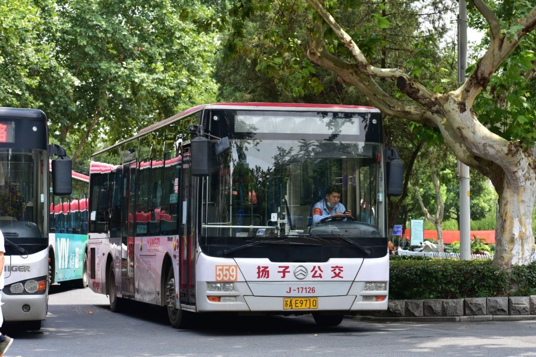 南京公交559路 南京公交559路