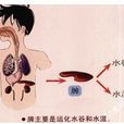 脾虛有濕 脾虛有濕