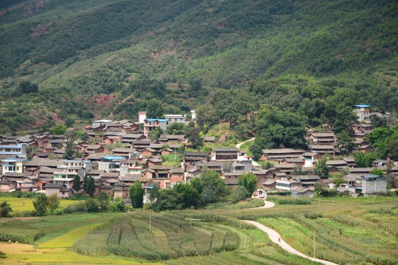 老滔村 老滔村