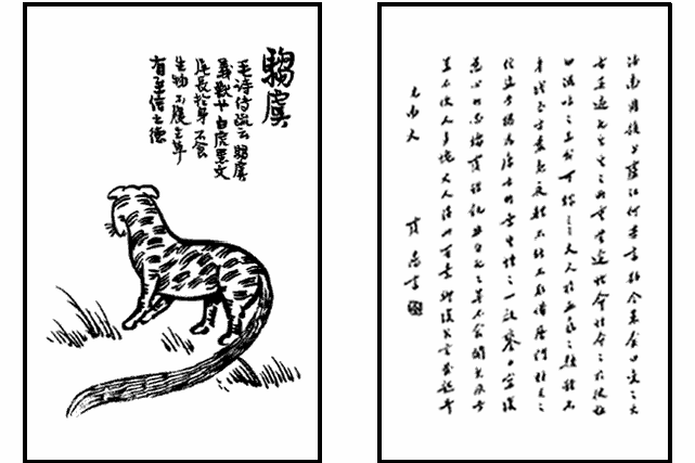 騶虞(豐子愷《護生畫集》中的文章) 騶虞(豐子愷《護生畫集》中的文章)