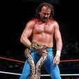 Jake Roberts Jake Roberts