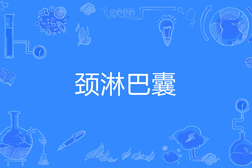 頸淋巴囊 頸淋巴囊