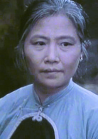 鄉情(1981年胡炳榴、王進執導電影)