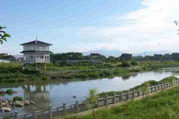 定川江 定川江