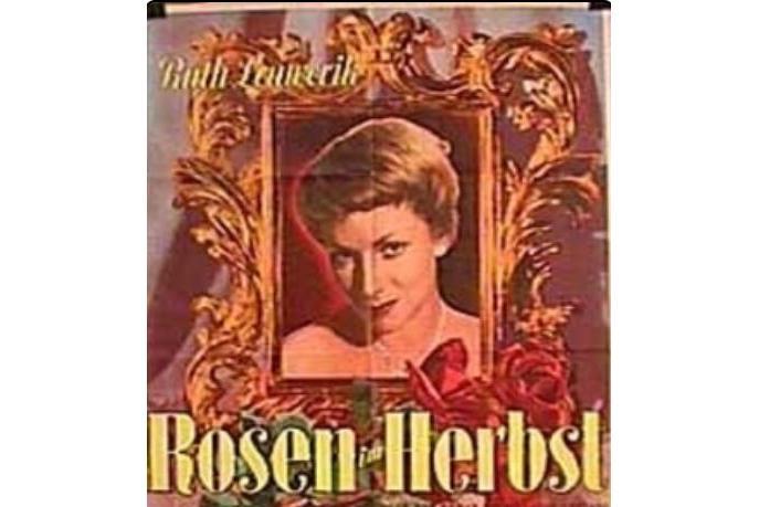 Rosen im Herbst Rosen im Herbst