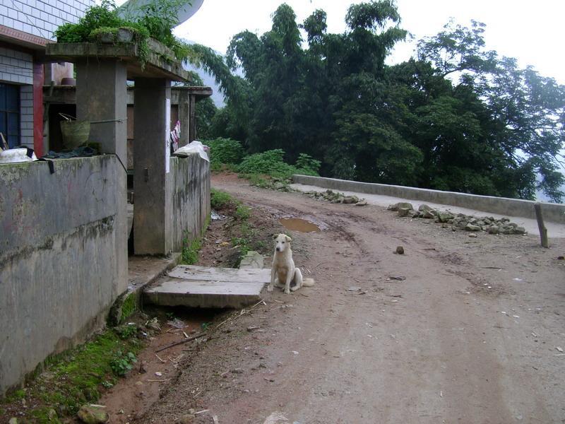 老永村 老永村