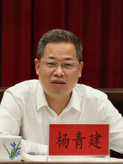 楊青建 楊青建