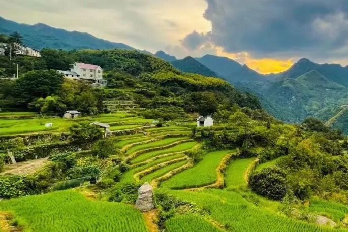相見村(浙江省杭州市臨安區龍崗鎮下轄村) 相見村(浙江省杭州市臨安區龍崗鎮下轄村)