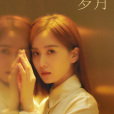 蔣南孫 蔣南孫