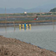 濱海村(浙江省寧海縣力洋鎮濱海村) 濱海村(浙江省寧海縣力洋鎮濱海村)