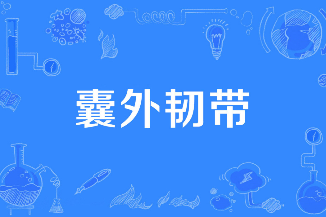 囊外韌帶 囊外韌帶