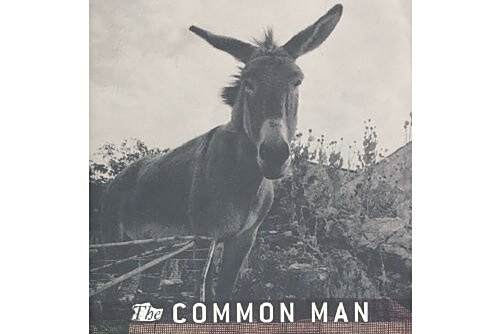 common man(2011年Houghton Mifflin出版的圖書) common man(2011年Houghton Mifflin出版的圖書)