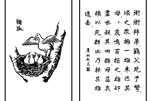 撫孤(豐子愷《護生畫集》中的文章) 撫孤(豐子愷《護生畫集》中的文章)