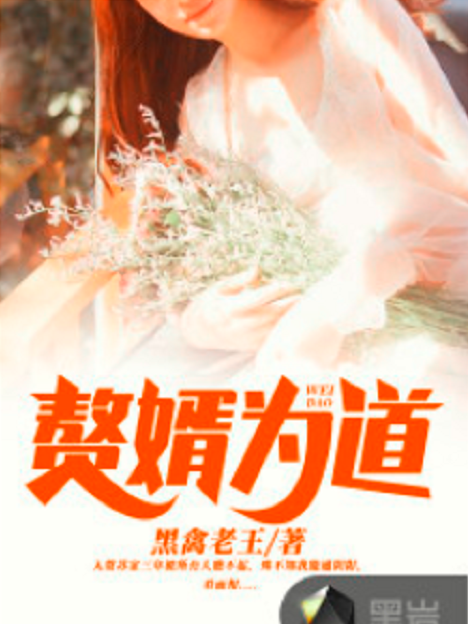 贅婿為道 贅婿為道
