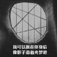 追光者們 追光者們
