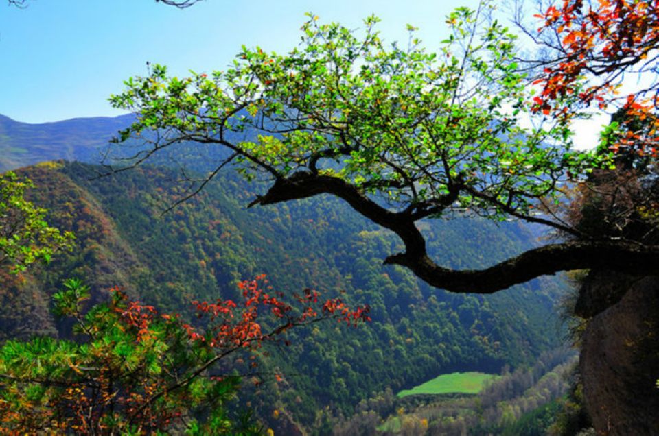 老君山(甘肅武山老君山)