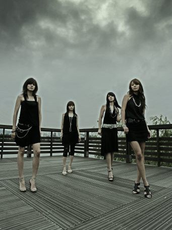 Black Pearl組合 Black Pearl組合