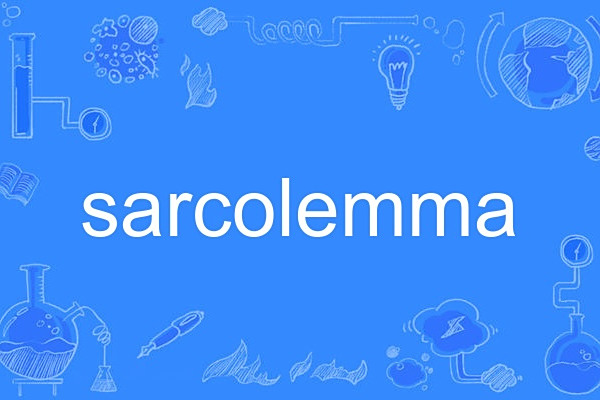 sarcolemma sarcolemma
