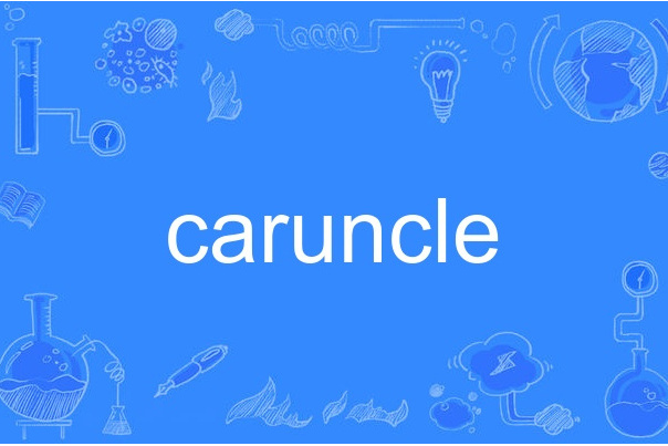 caruncle caruncle