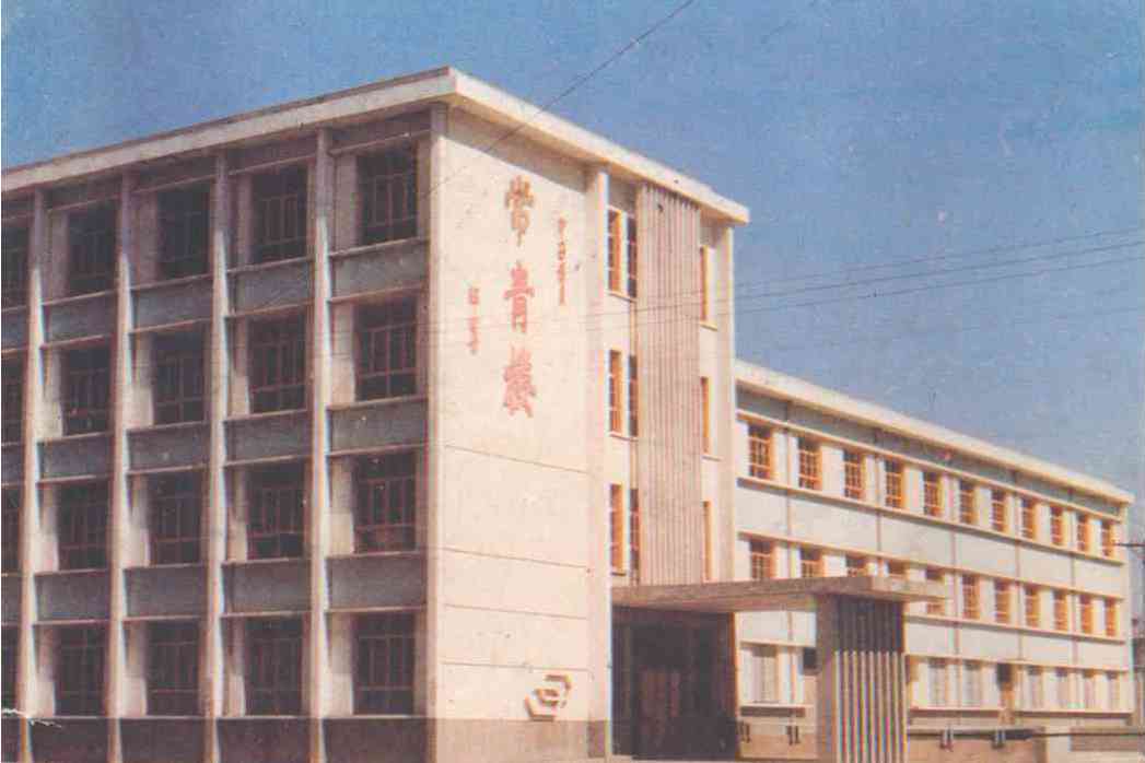 常青村志 常青村志