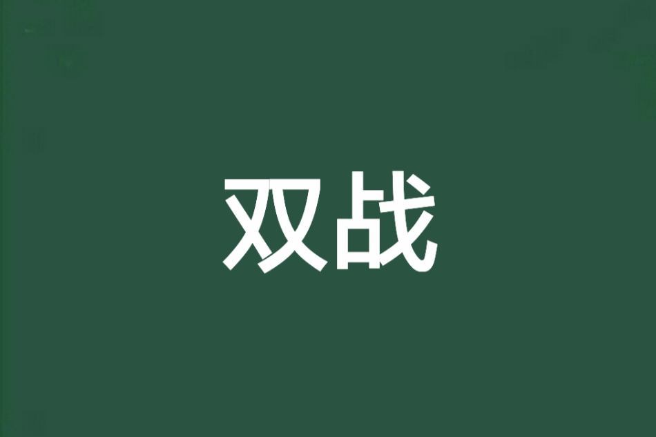 雙戰(小說) 雙戰(小說)