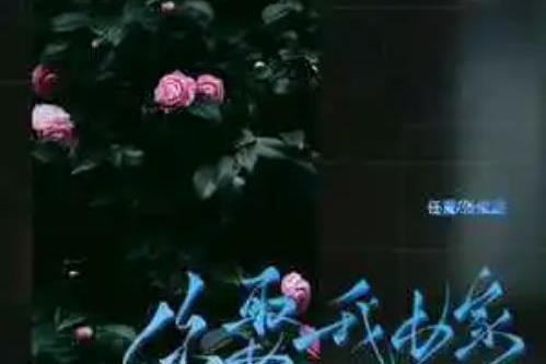 你娶我嫁(任夏 /張俊波演唱的歌曲) 你娶我嫁(任夏 /張俊波演唱的歌曲)