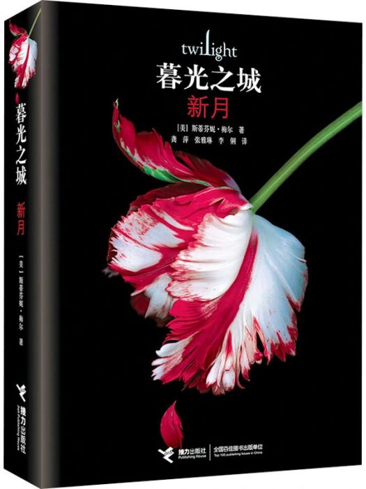 新月(2021年接力出版社出版的圖書) 新月(2021年接力出版社出版的圖書)