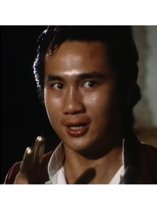 洪豹(劇情類電視劇《千王之王》中的角色) 洪豹(劇情類電視劇《千王之王》中的角色)