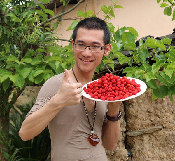 七仙兒莓 七仙兒莓
