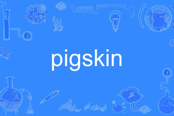 pigskin(英語單詞) pigskin(英語單詞)