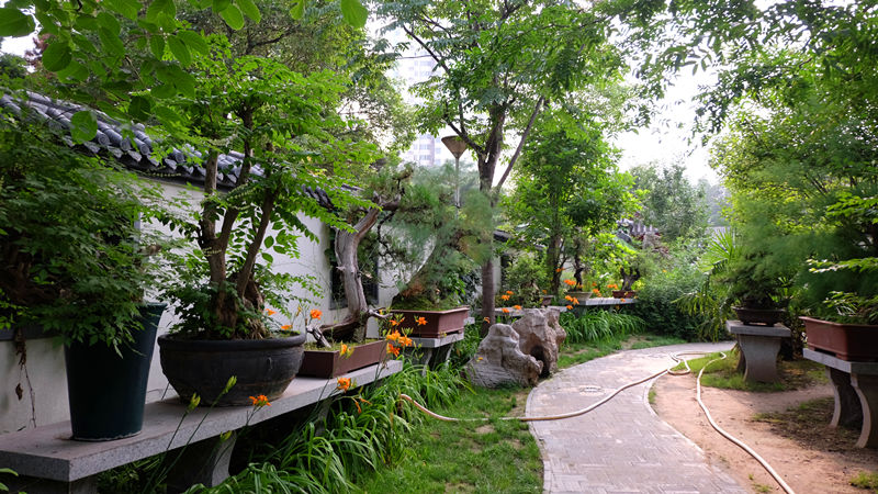 鄭州紫荊山公園