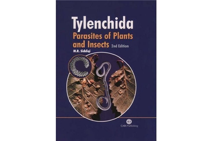 Tylenchida Tylenchida